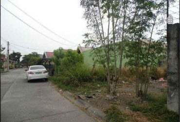 Lot For Sale In Pandan, Angeles City