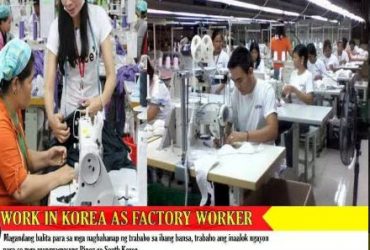 Work in korea as factory worker!