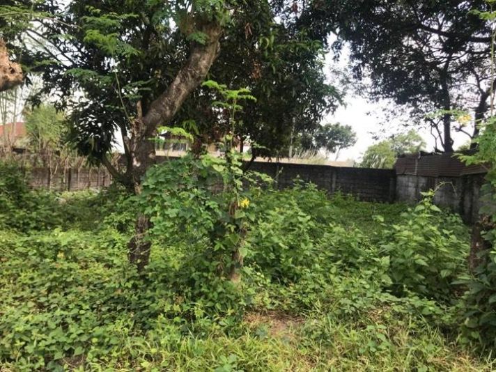 300sqm Vacant Residential Lot For Sale Angeles City near Marquee mall ...