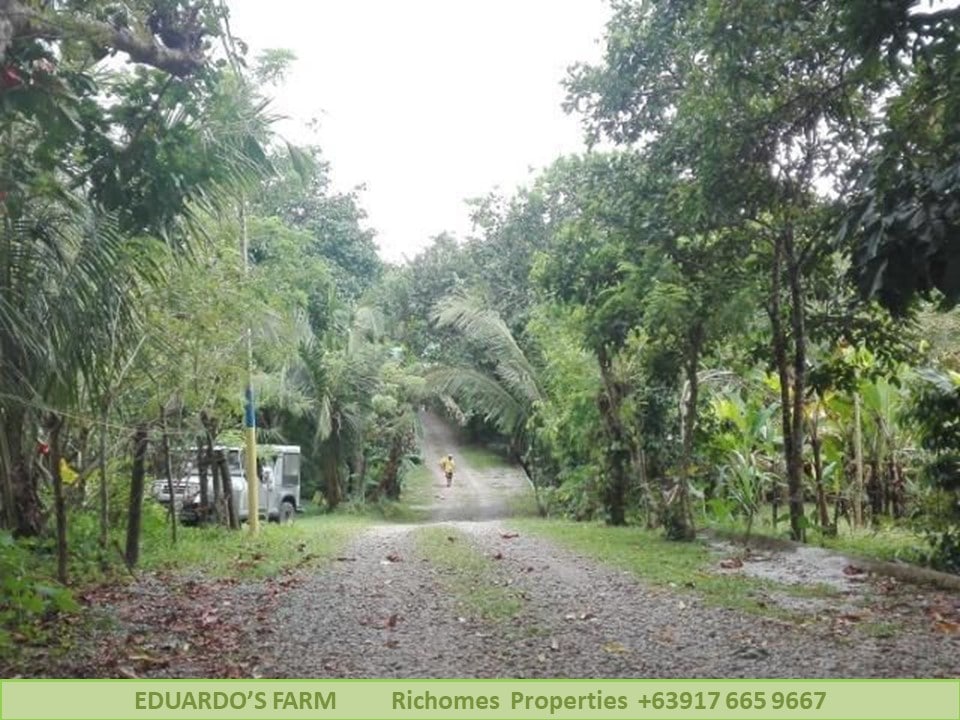 Affordable Residential Farm lot in Alfonso Cavite