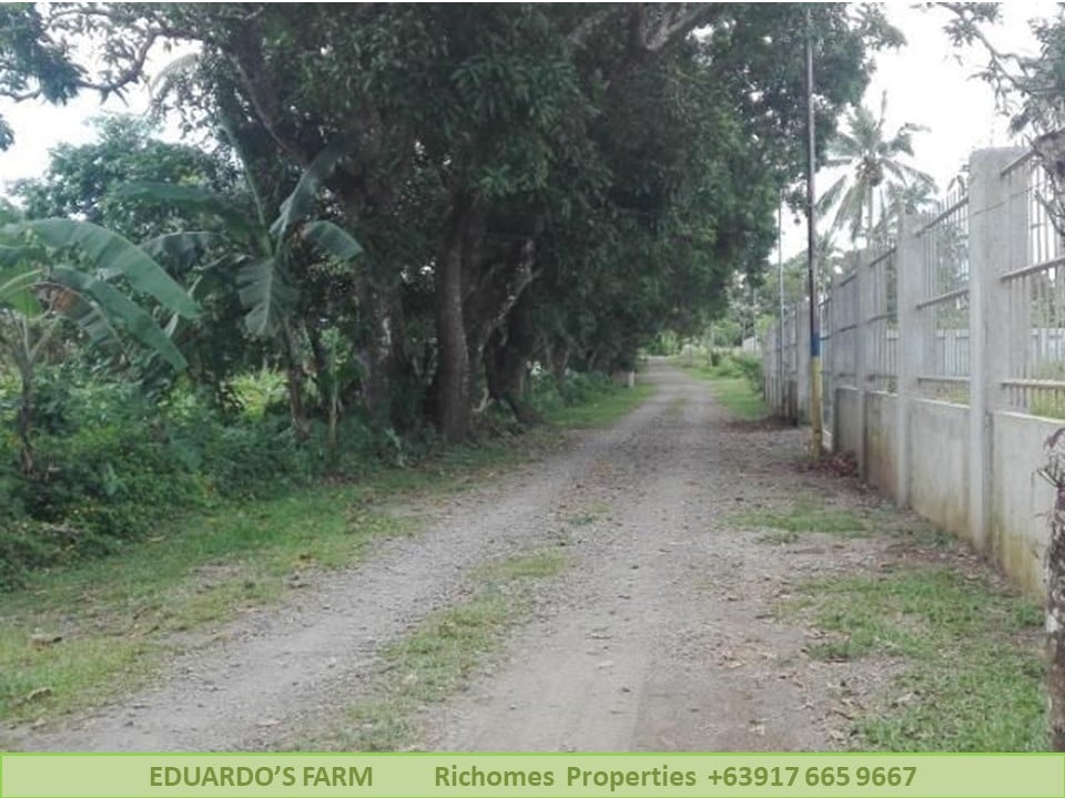 Affordable Residential Farm lot in Alfonso Cavite