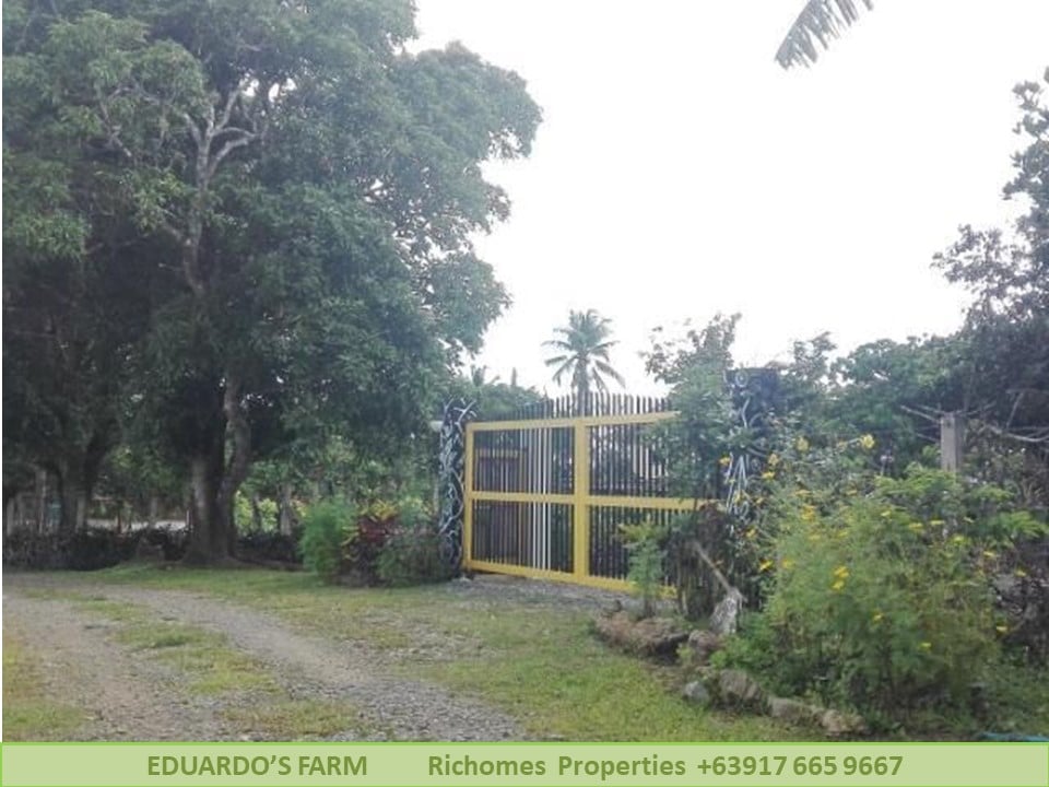 Affordable Residential Farm lot in Alfonso Cavite