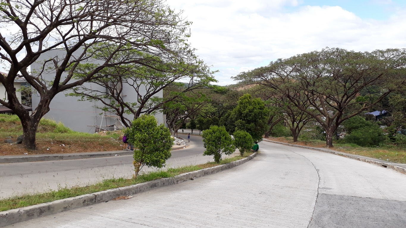 Residential and Commercial Lots for sale at Blue Mountain Antipolo