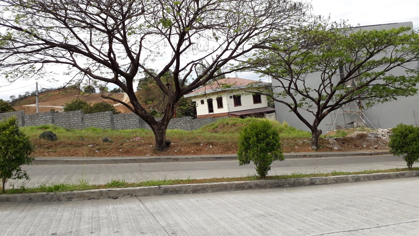 Residential and Commercial Lots for sale at Blue Mountain Antipolo