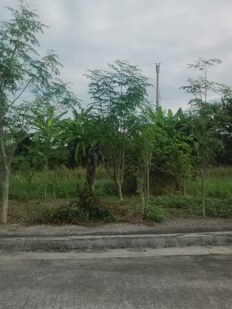 Residential Land for sale at Cainta Greenland