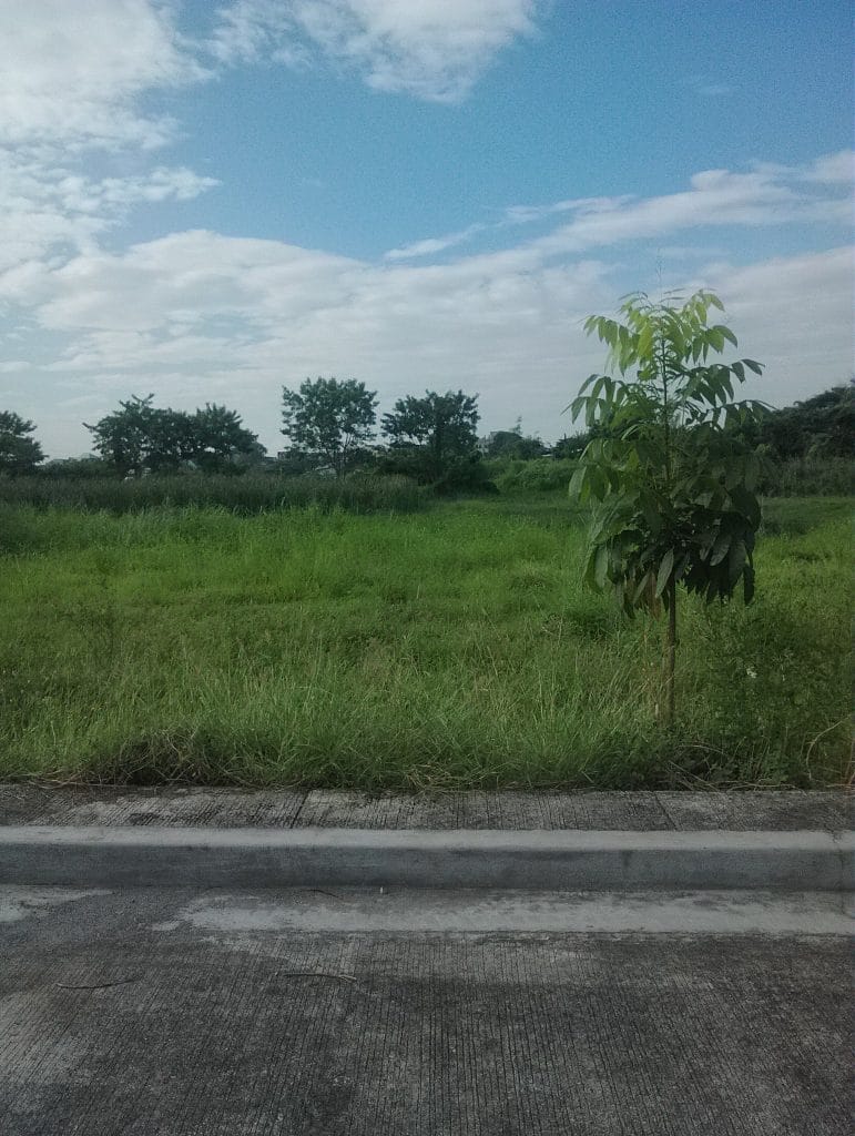 Residential Land for sale at Cainta Greenland