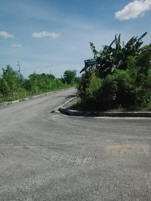 Residential Land for sale at Cainta Greenland