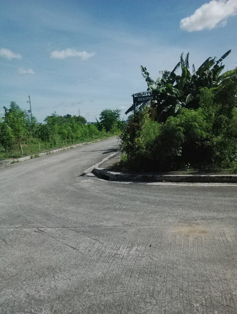 Residential Land for sale at Cainta Greenland