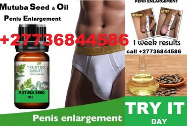 Penis Enlargement Herbal Oil +27736844586