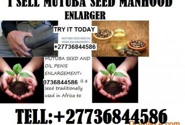 mutuba seed and oil for 100% penis enlargement +27736844586