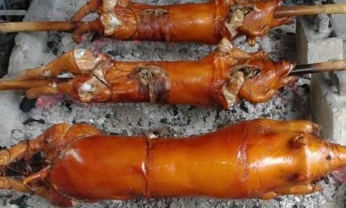 LECHON BABOY ! LECHON ! LECHON !