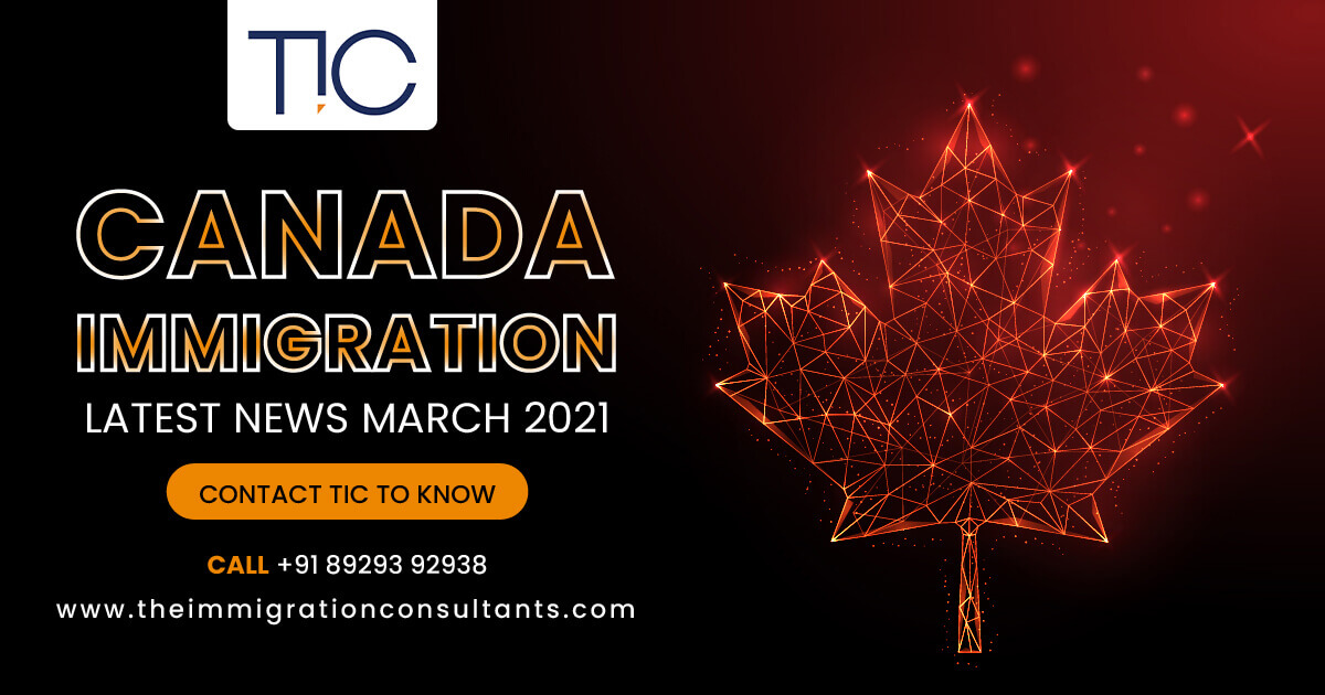 Best Immigration Consultants In Goa For Canada – TIC