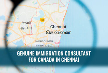 Best Immigration Consultant Chennai – Novusimmigrationchennai